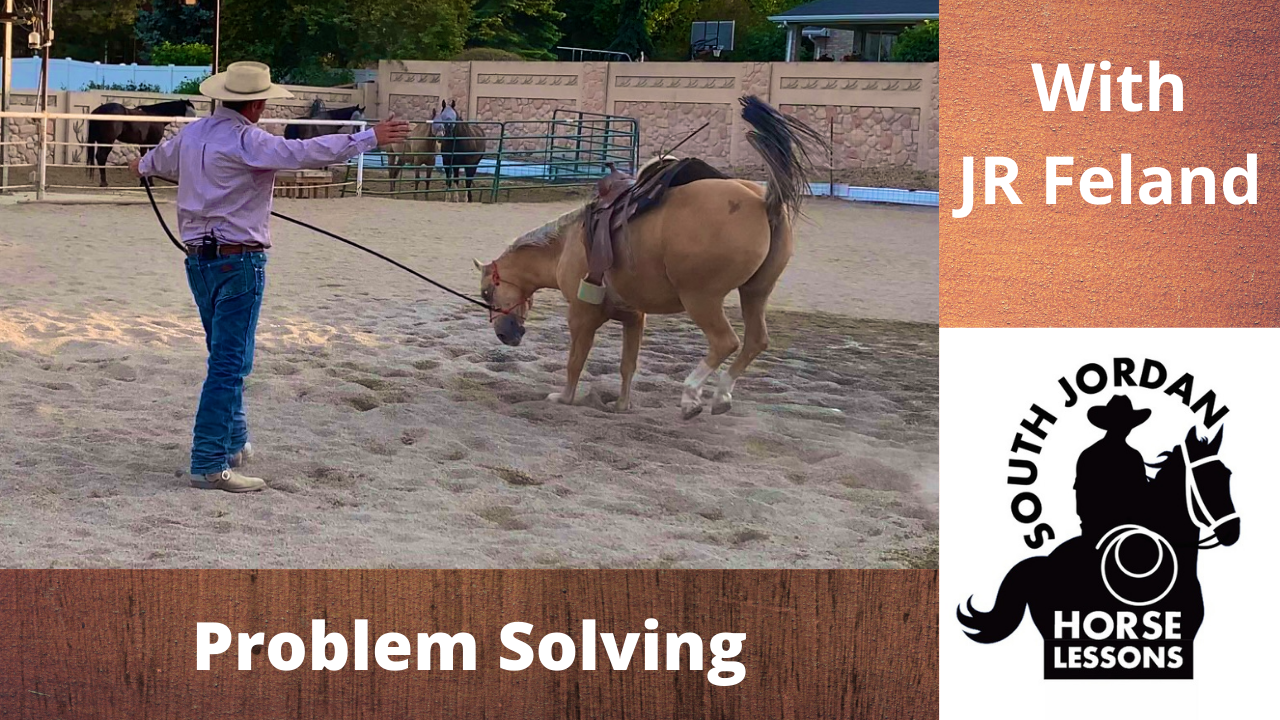 Lunging Challenges 8 - What if they start bucking?